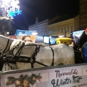 Novosadski Winter Fest